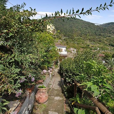 Villa Lardarina Corniglia Εξωτερικό φωτογραφία
