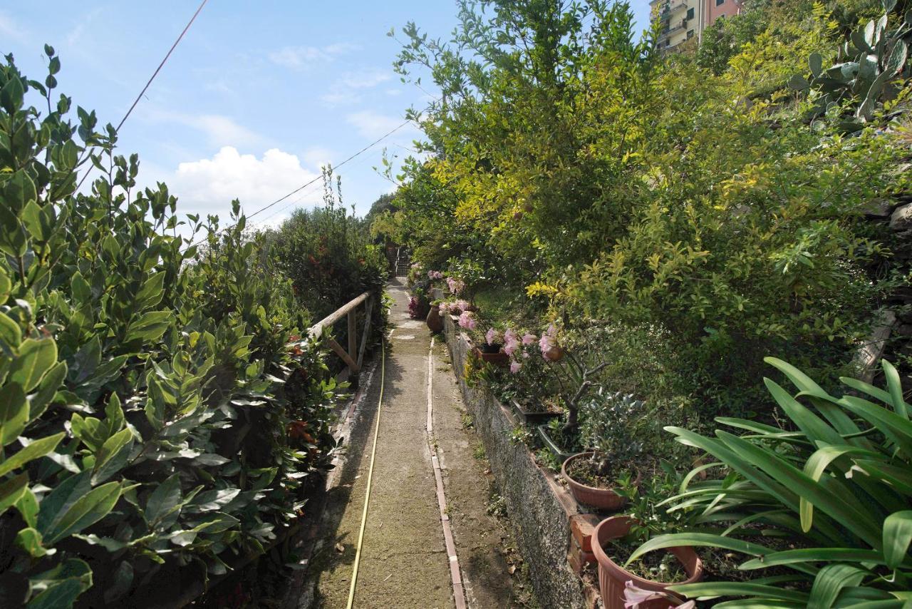 Villa Lardarina Corniglia Εξωτερικό φωτογραφία