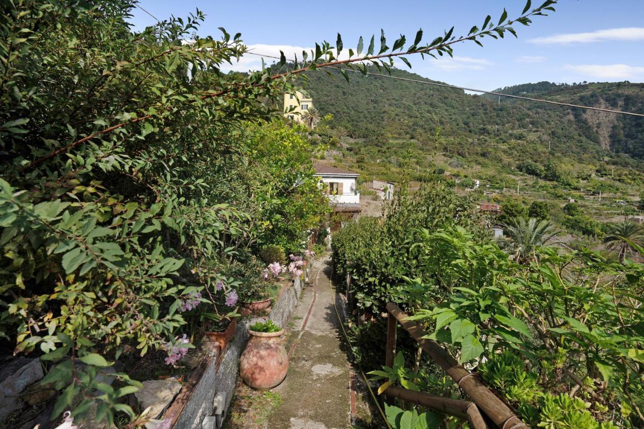 Villa Lardarina Corniglia Εξωτερικό φωτογραφία
